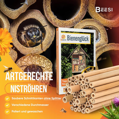 BEESI Bambusröhrchen für Insektenhotel I 14 cm Länge I Bambus für Bienenhotel I Füllmaterial Wildbie