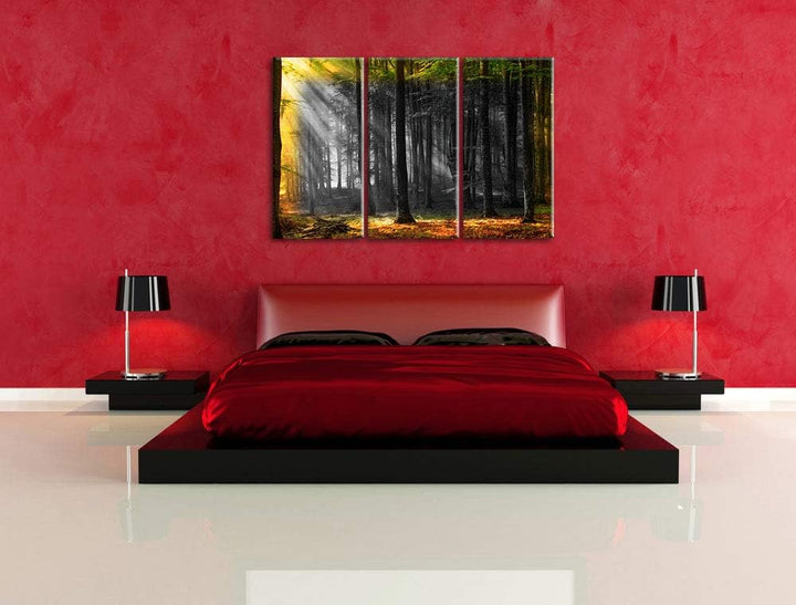 schöner Märchenwald bei Mittagssonne schwarz/weiss 3-Teiler Leinwandbild 120x80 Bild auf Leinwand, X