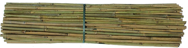 Bambus-Stäbe, Tonkinstäbe, Pflanzstäbe 120cm, Ø 11-14mm (20), 20