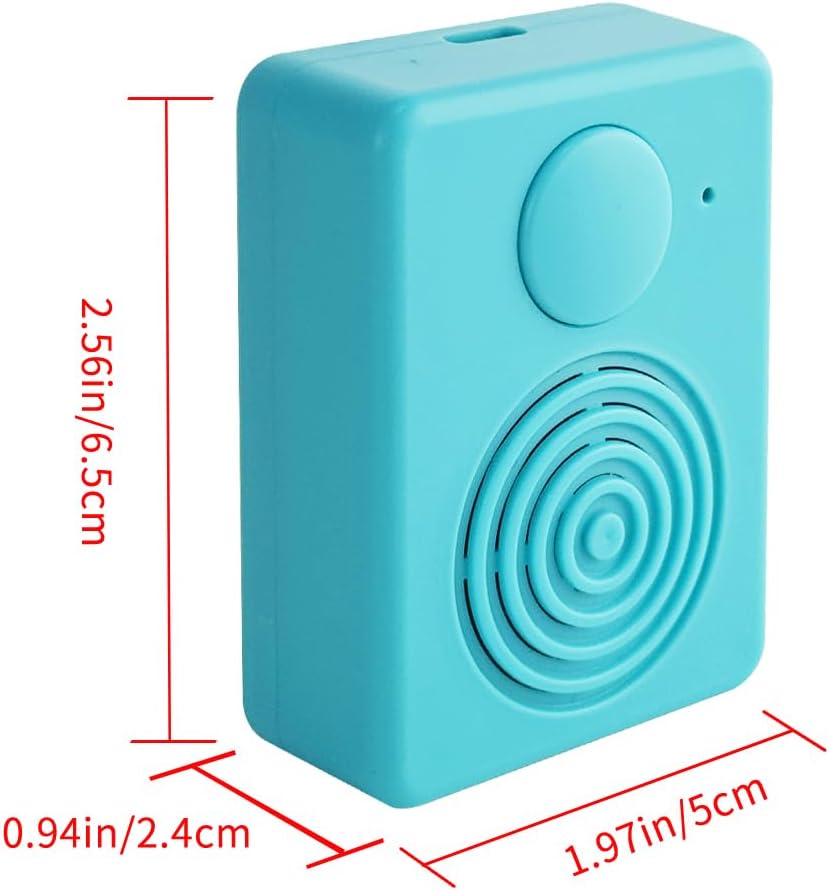 Soundmodul mit Lautsprecher,16 MB Diktiergerät, Unterstützt Bluetooth und Mikrofonaufnahmen,16 Minut