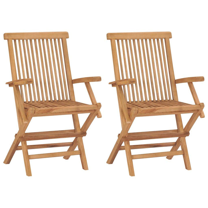 vidaXL 2X Teak Massiv Gartenstuhl mit Armlehnen Klappbar Holzstuhl Klappstuhl Stuhl Stühle Gartenmöb
