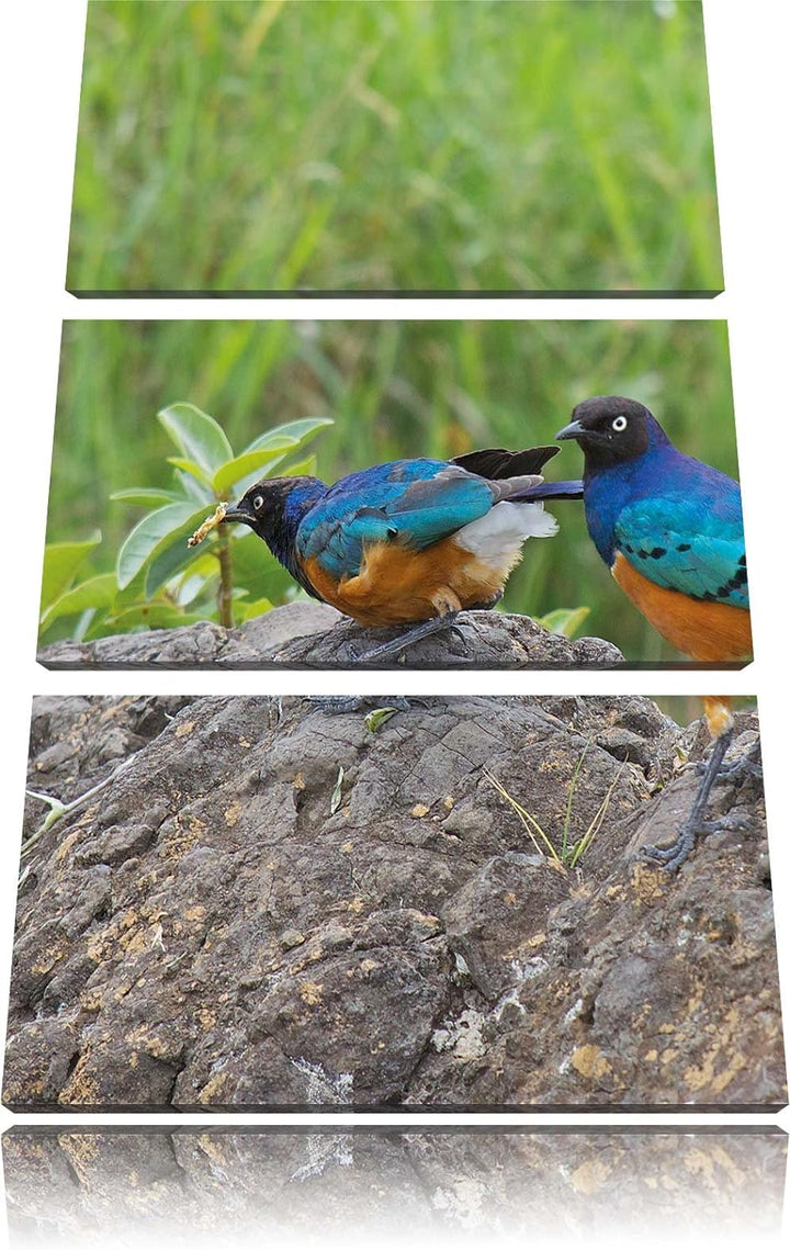 Pixxprint Vögel auf einem Stein als Leinwandbild/Grösse: 3 Teilig (120x80) cm/Wandbild/Kunstdruck/fe
