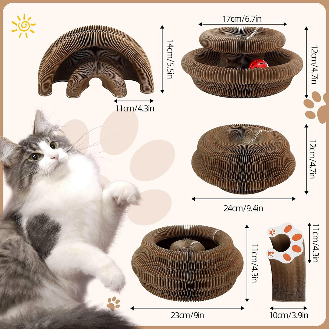 2-in-1 Magic Organ Katzen Kratzbretter, NEU Zusammenklappbares interaktives Katzenspielzeug mit Gloc