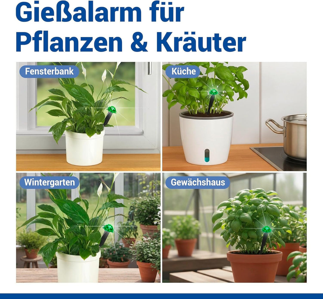 Maximex LED Feuchtigkeitsmessgerät für Pflanzen, Feuchtigkeitsmesser und Giessanzeiger für Zimmerpfl