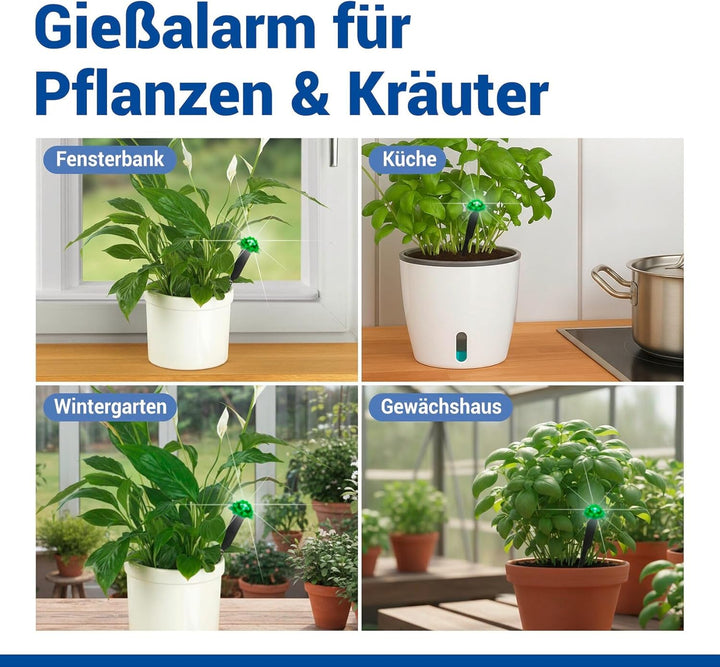 Maximex LED Feuchtigkeitsmessgerät für Pflanzen, Feuchtigkeitsmesser und Giessanzeiger für Zimmerpfl