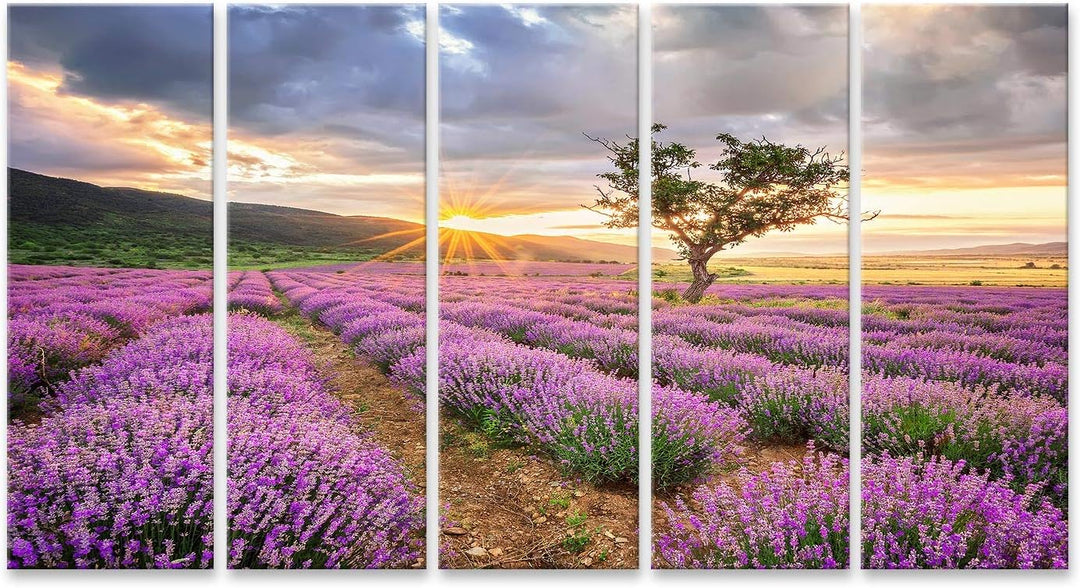 islandburner Bild Bilder auf Leinwand atemberaubende Landschaft mit Lavendelfeld bei Sonnenaufgang W