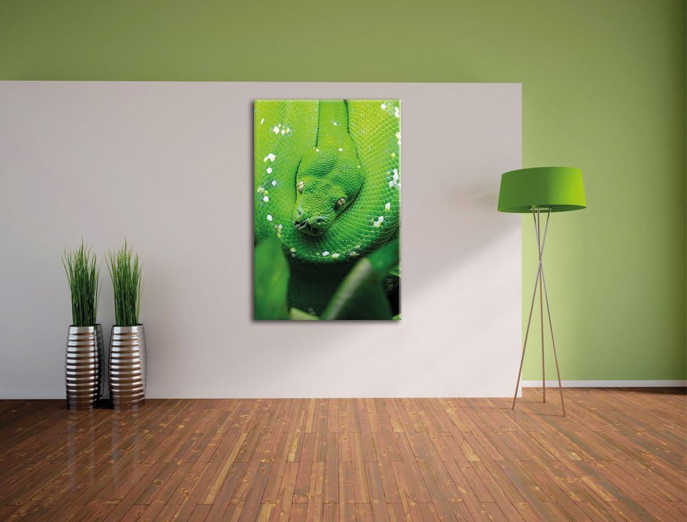 Grüne giftige Schlange, Format: 100x70 auf Leinwand, XXL riesige Bilder fertig gerahmt mit Keilrahme