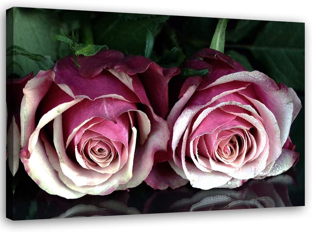 Feeby Leinwandbild Rose Bild Kunstdruck Blume Violett 70x50 cm M14567 70x50 cm, M14567 70x50 cm