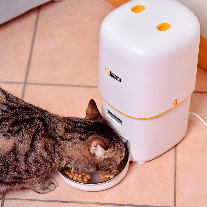 Ferplast Futterautomat Katze Risto PET, Automatischer Futterspender Katze, Programmierbar, 4-Liter K
