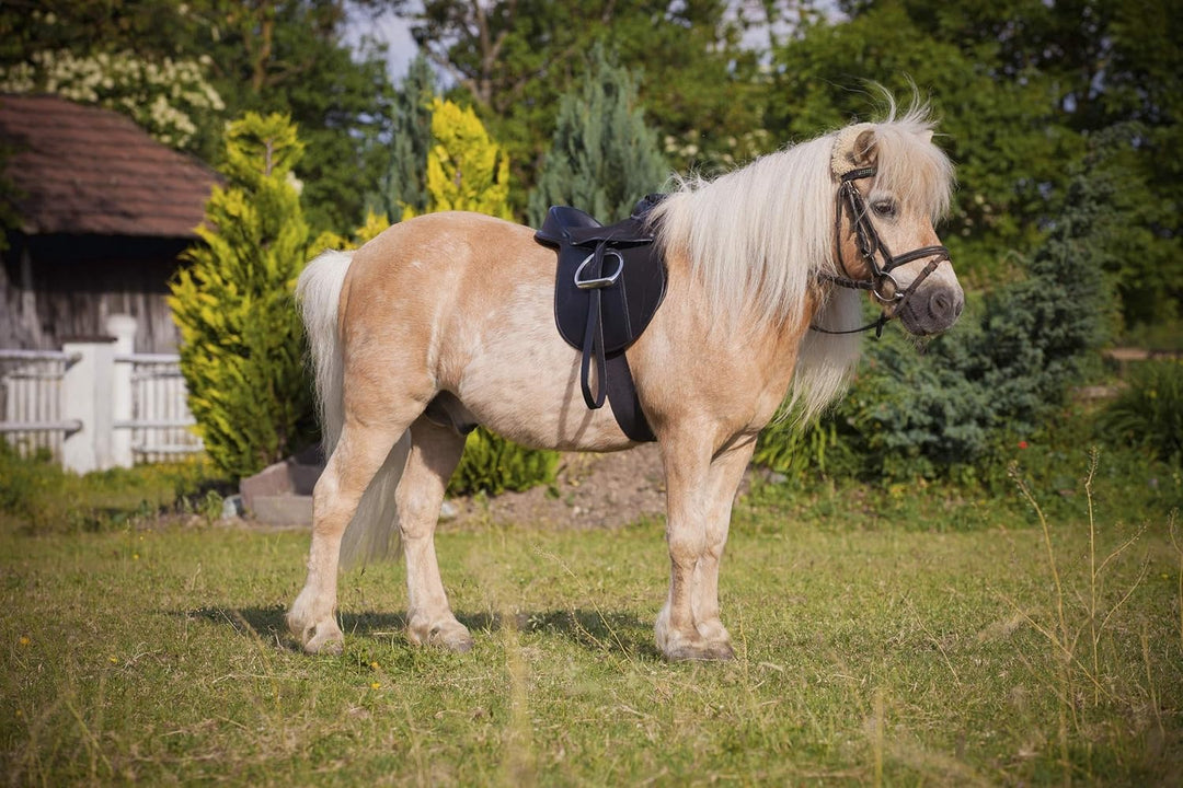 Kerbl Sattelset Economy Pony, Schwarz, 325415 Single, Single