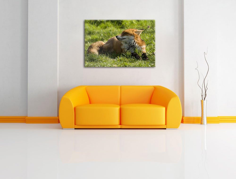 Kleiner Fuchs auf Wiese, Format: 100x70 auf Leinwand, XXL riesige Bilder fertig gerahmt mit Keilrahm