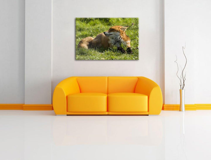Kleiner Fuchs auf Wiese, Format: 100x70 auf Leinwand, XXL riesige Bilder fertig gerahmt mit Keilrahm