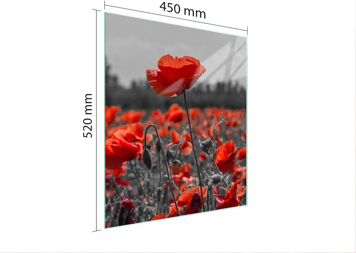 TMK ArtDeko Herdabdeckplatte 45x52 Einteilig Glas Induktion Herdschutz Spritzschutz Glasplatte Deko