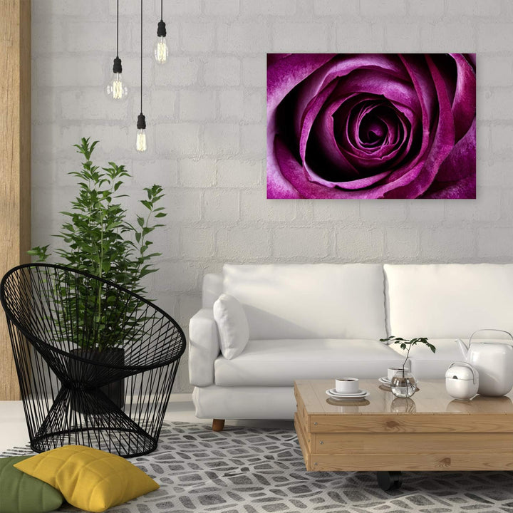 Wanddeko Rose Kunst modern Bilder Pflanze Violett 100x70 cm M14560 100x70 cm, M14560 100x70 cm
