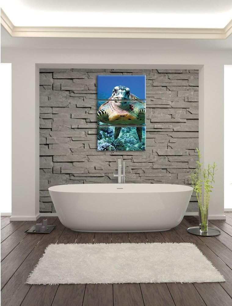 Pixxprint Schildkröte im Korallenriff als Leinwandbild/Grösse: 3 Teilig (120x80) cm/Wandbild/Kunstdr