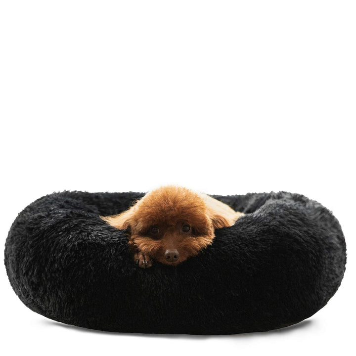 HACHIKITTY Tierhaarschneidemaschine Hundeschermaschine M (24 X 24") schwarz, M (24 X 24") schwarz