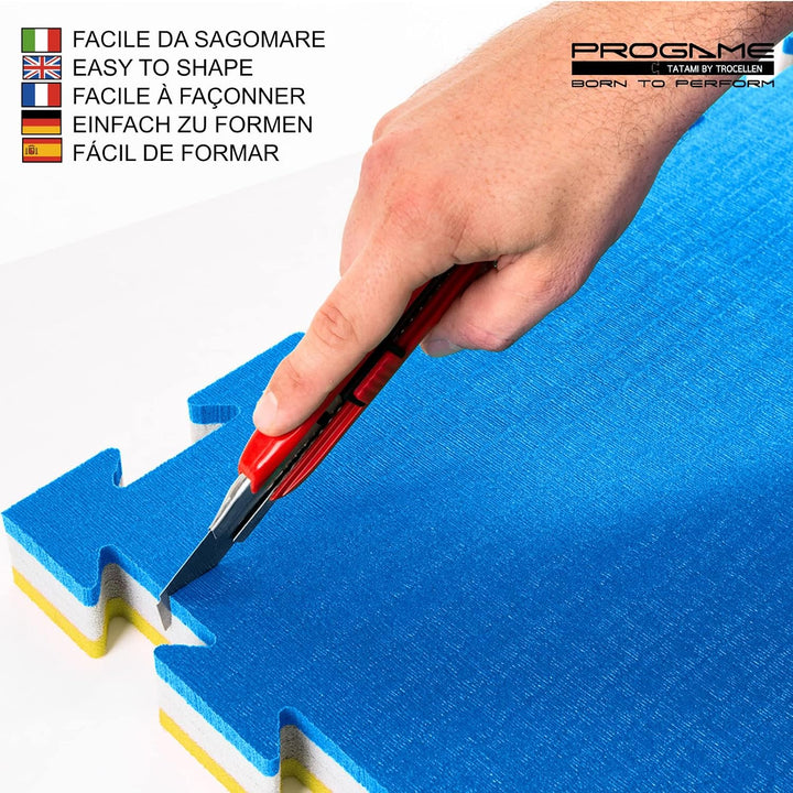 ProGame Kit 8 Stück Tatami Matte 4 cm PERFORMANCE-HOME 50x50 cm Judomatte Gelb/Blau, Gelb/Blau