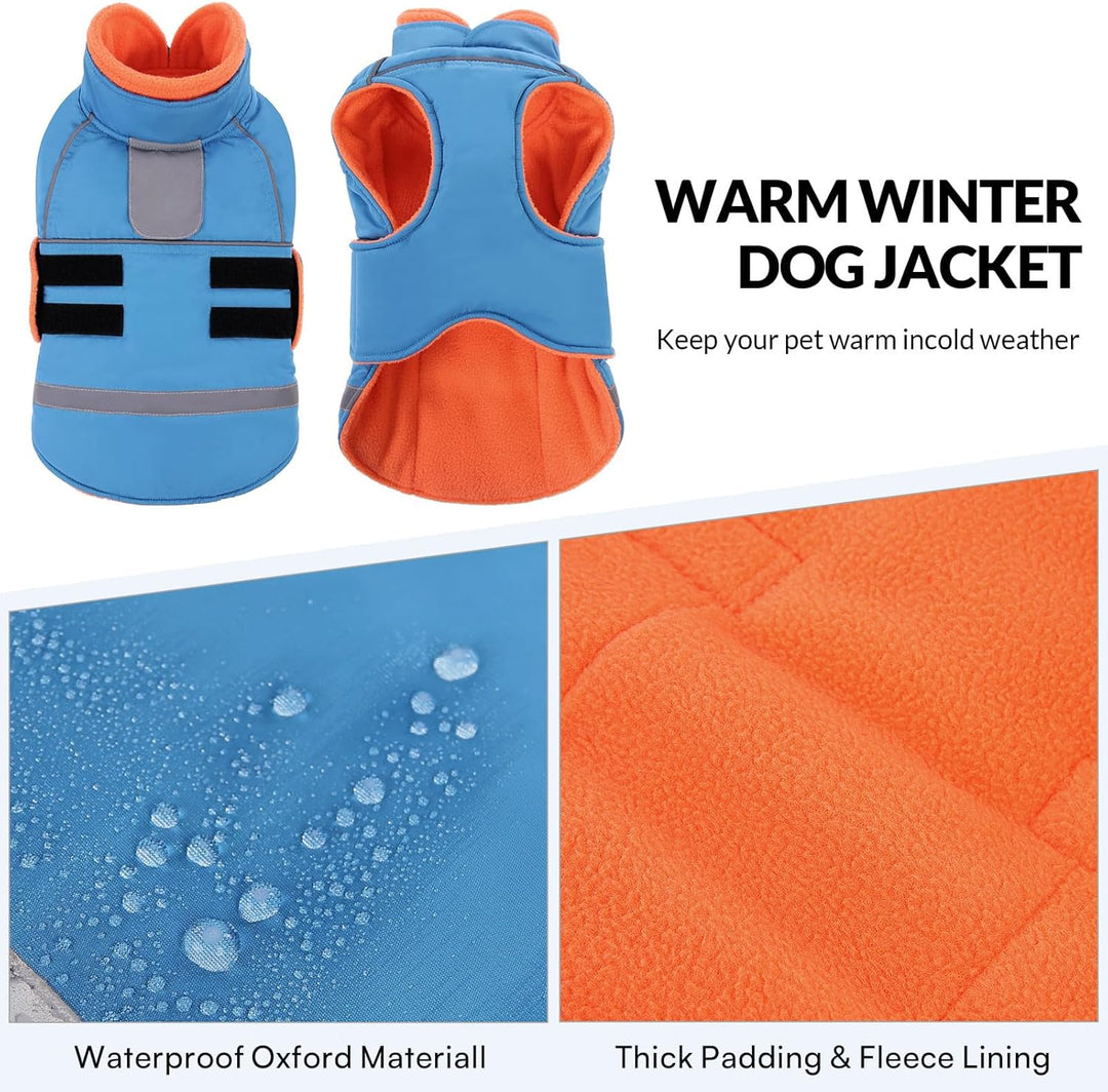 CITÉTOILE Wasserdichter Hundemantel mit Leinenöffnung Blau S | Zweifarbige Hundejacke mit Klettversc