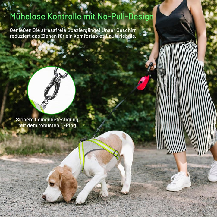 Visinite Led Hundegeschirr mit Licht, Hundegeschirr Leuchtend Aufladbar, 2 Beleuchtungsmodi Leuchtge
