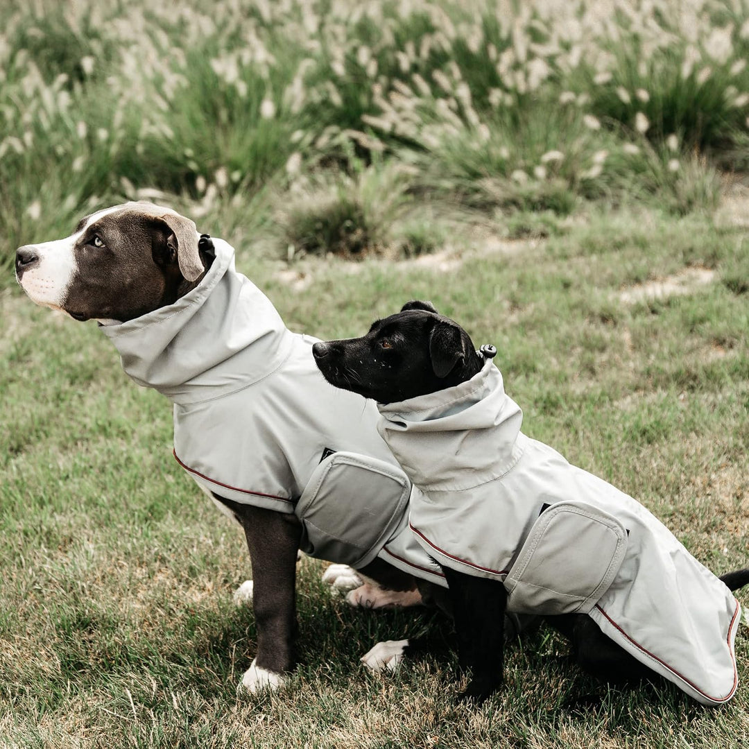 Kentucky Hunde Regenjacke Farbe Reitbekleidung Dusty Blue, Grösse S S dusty blue, S dusty blue