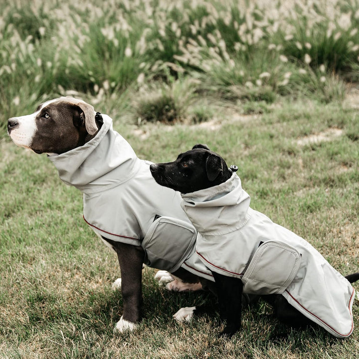 Kentucky Hunde Regenjacke Farbe Reitbekleidung Dusty Blue, Grösse S S dusty blue, S dusty blue