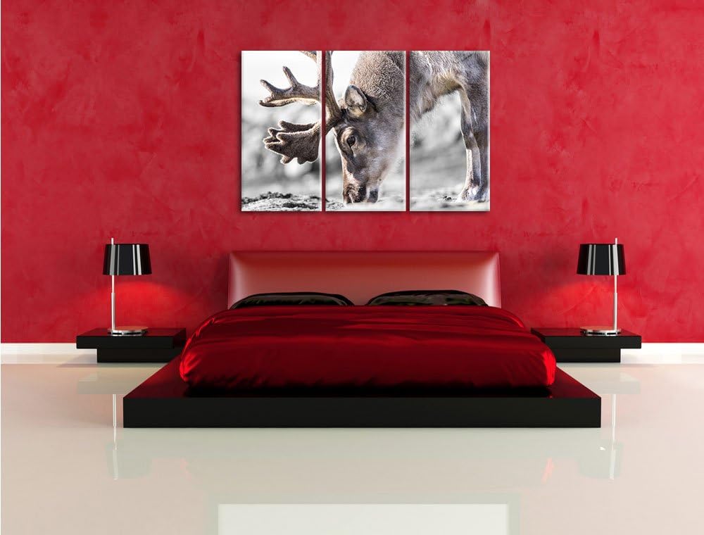 Pixxprint süsses Rentier beim Essen / 3-Teilig/Gesamtmass 120cm Leinwandbild bespannt auf Holzrahmen