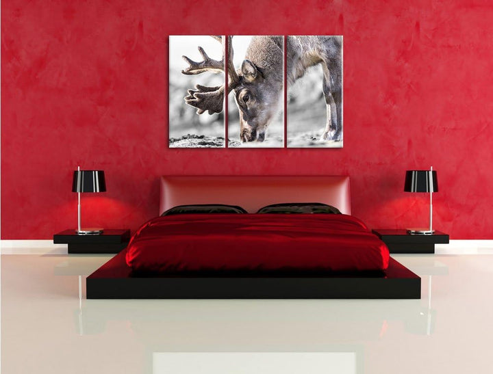 Pixxprint süsses Rentier beim Essen / 3-Teilig/Gesamtmass 120cm Leinwandbild bespannt auf Holzrahmen