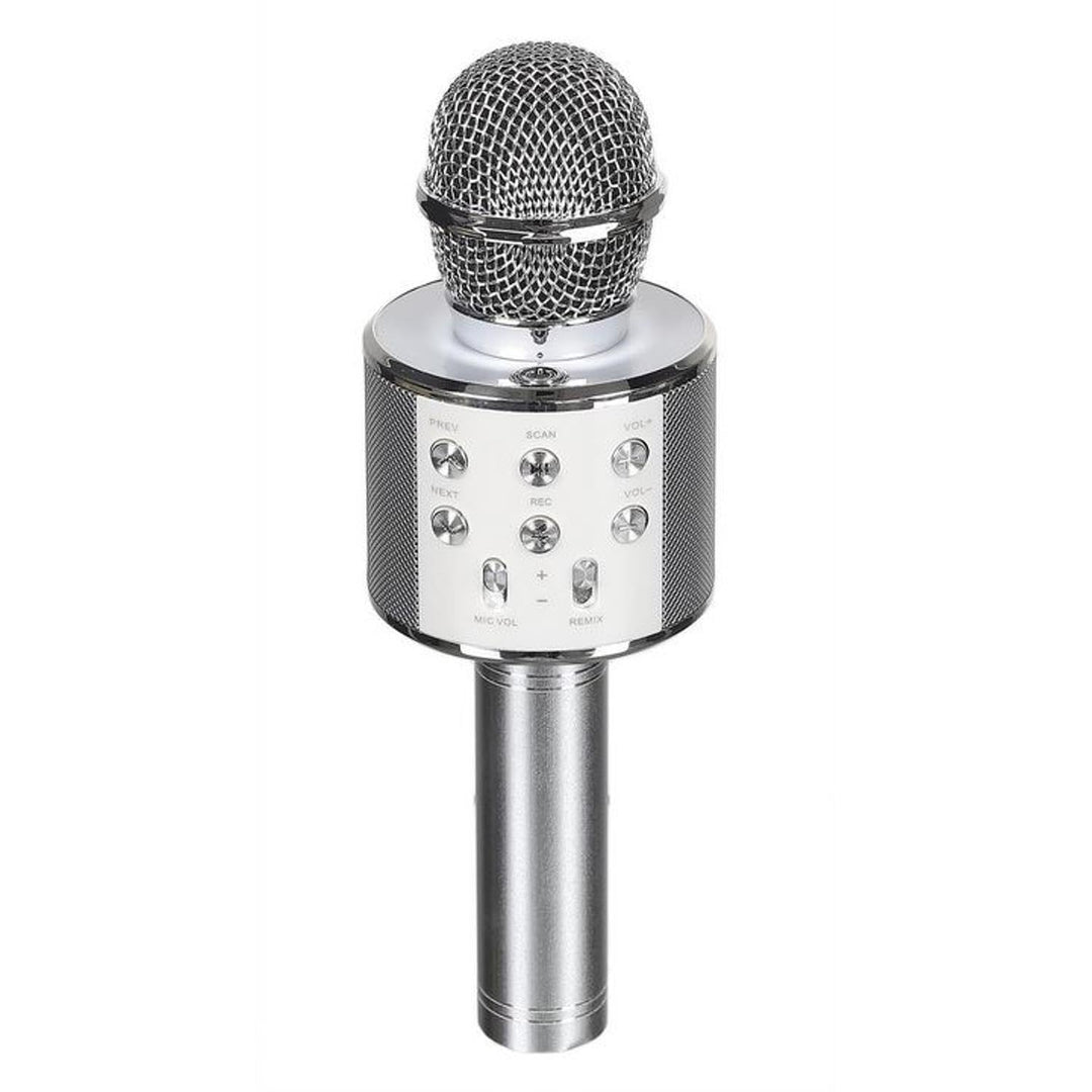 CMP ALTAVOZ MICROFONO Karaoke