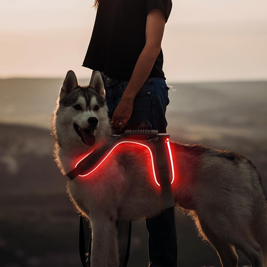 MASBRILL LED Hundegeschirr Leuchtend, Leuchtgeschirr für Hunde Aufladbar Verstellbar LED Leucht Brus
