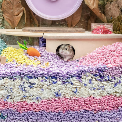 Niteangel Hamster-Papierpellets als Einstreu für syrische Zwerghamster, Gerbils, Mäuse, Lemminge, De