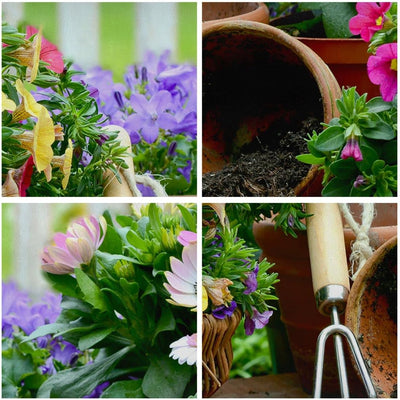 Wandbilder Dekoration Wohnzimmer Pflanzen Garten Frühling Natur Panorama Bilder auf Leinwand 120x50c