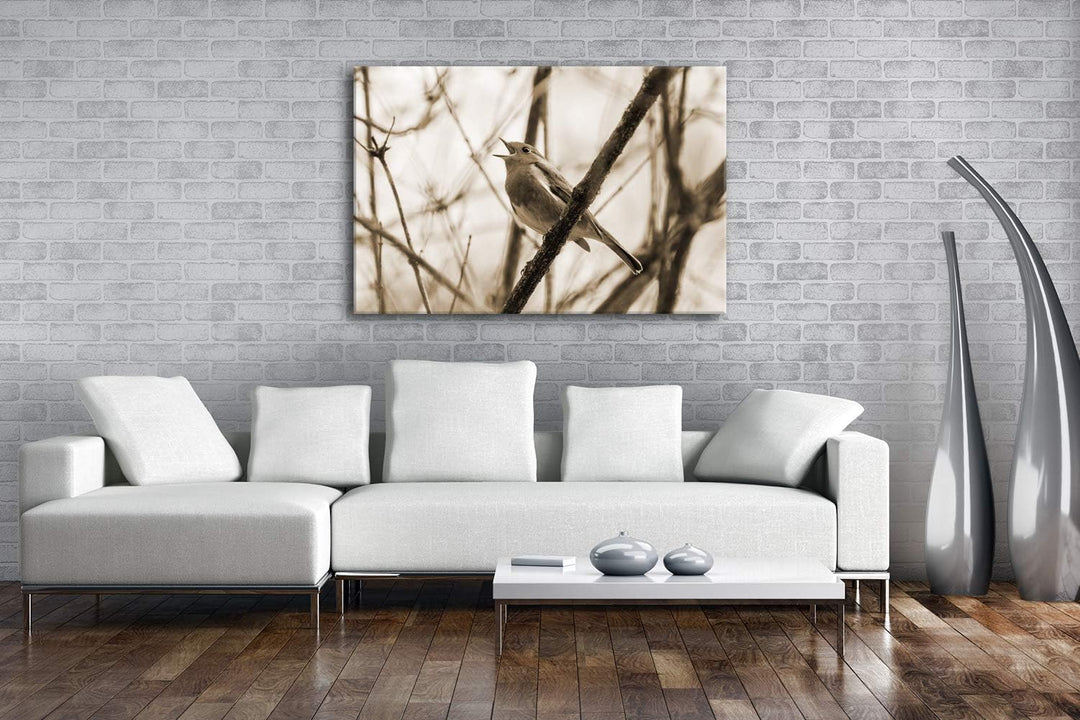 deyoli singendes Rotkehlchen Format: 80x60 Effekt: Sepia als Leinwandbild, Motiv fertig gerahmt auf