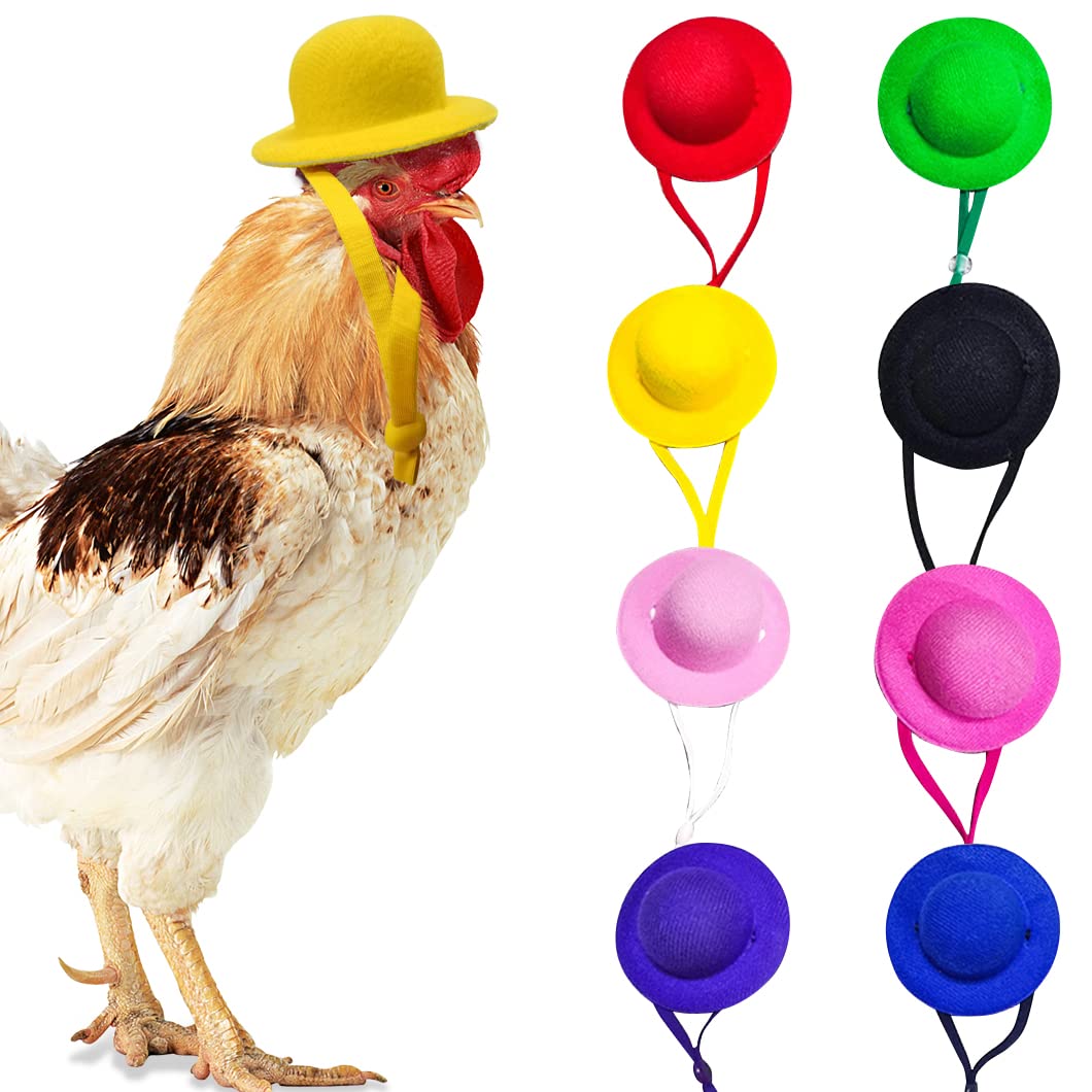 Rolin Roly 8PCS HühnerhelmVogelhut Kopfbedeckung Chicken Hats Hühnerhut Runder Kleiner Hut Mehrfarbi