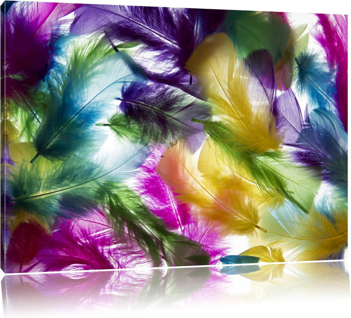 Pixxprint Anordnung von Federn als Leinwandbild/Grösse: 100x70 cm/Wandbild/Kunstdruck/fertig bespann