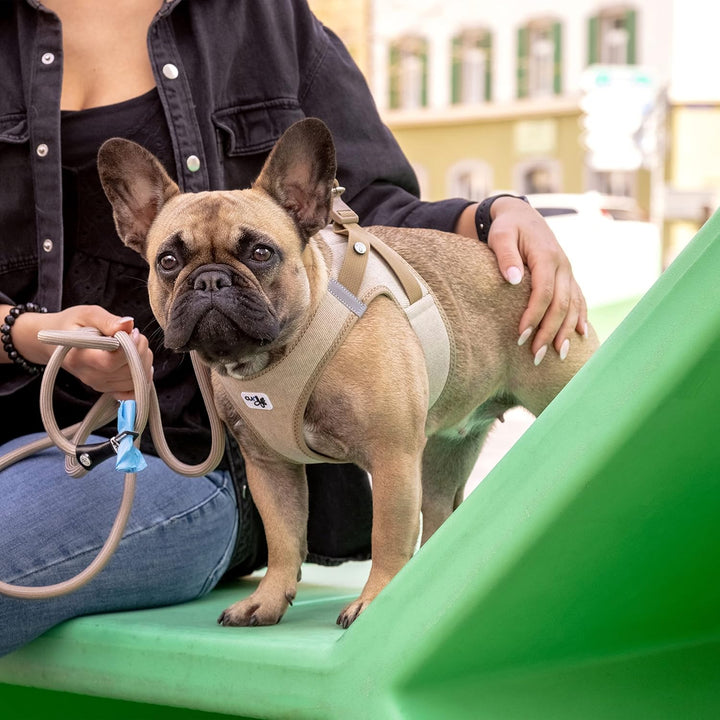 Vest Harness curli Clasp Cord Tan XS XS Braun (Tan), XS Braun (Tan)