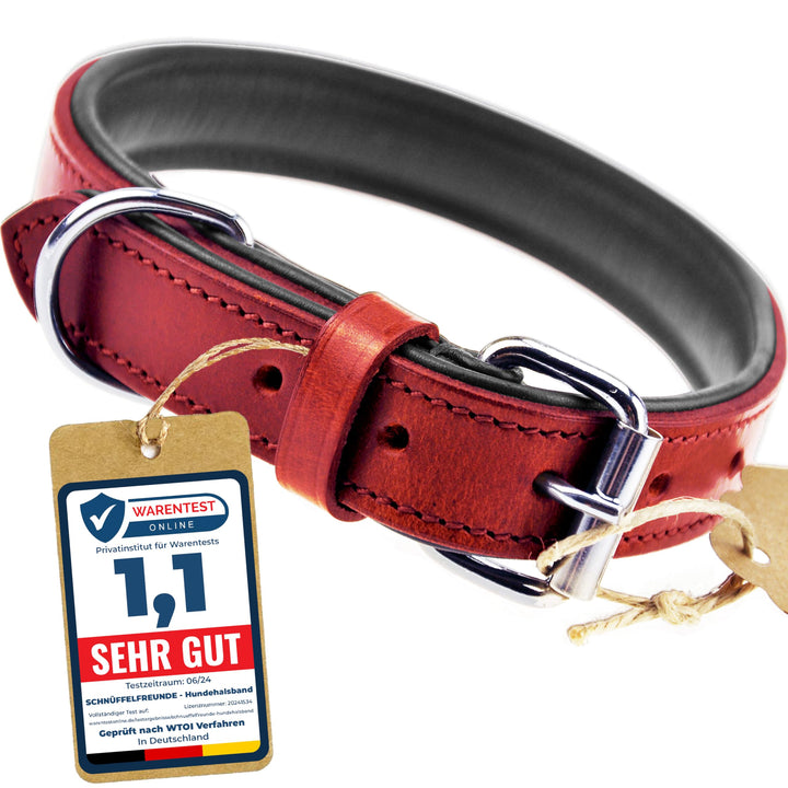 Schnüffelfreunde Halsband für Hunde aus Leder, Hundehalsband für den grossen, mittleren und kleinen