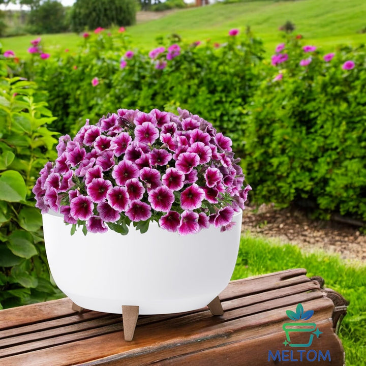 MELTOM Blumentopf mit Füssen aus Kunststoff Schale mit Einsatz, Farbe Weiss, H: 25 cm, D: 40 cm, Grö