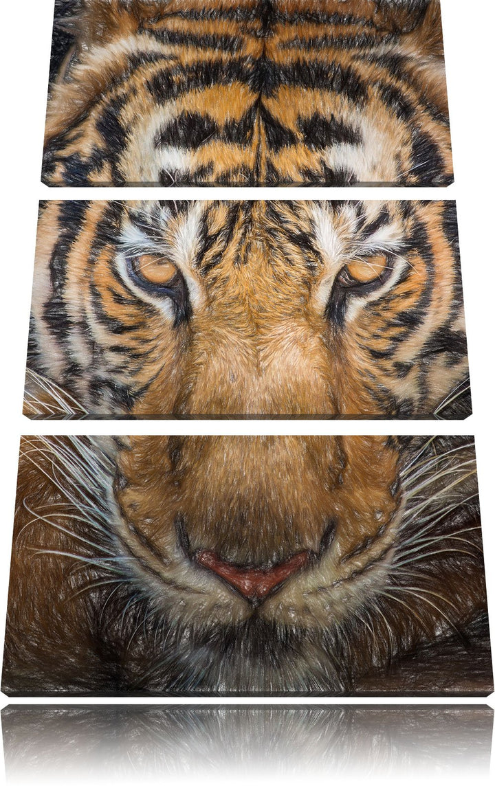Pixxprint Tiger mit hellbraunen Augen / 3-Teilig/Gesamtmass 120cm Leinwandbild bespannt auf Holzrahm