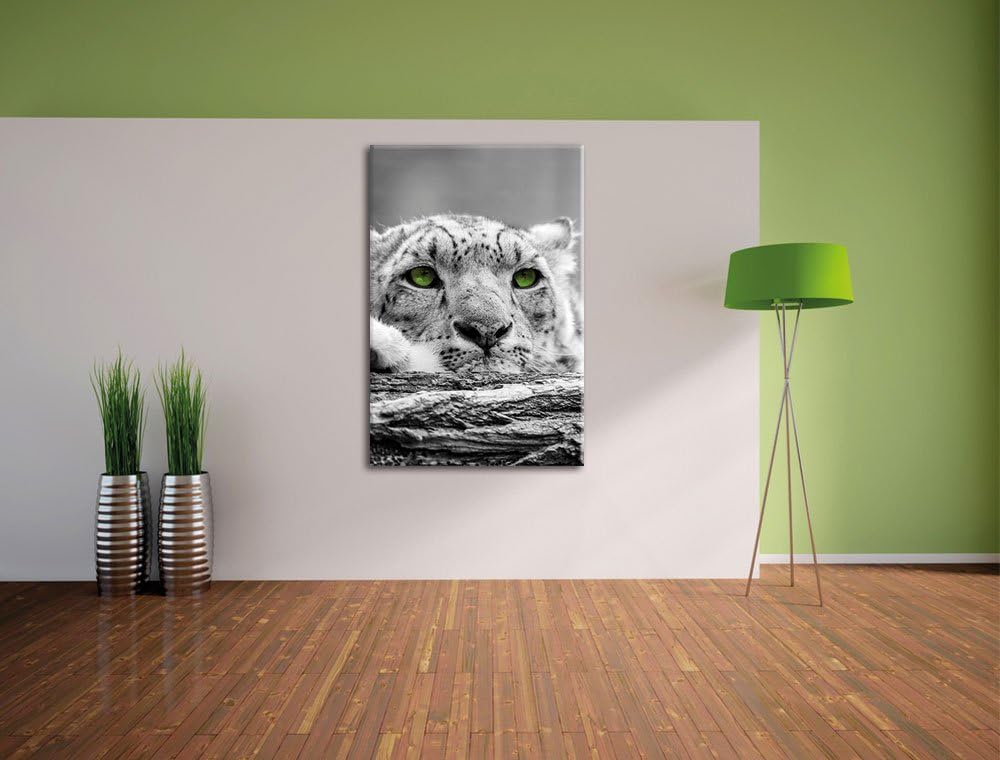 Pixxprint Gepard mit grünen Augen auf Baumstamm als Leinwandbild/Grösse: 120x80 cm/Wandbild/Kunstdru