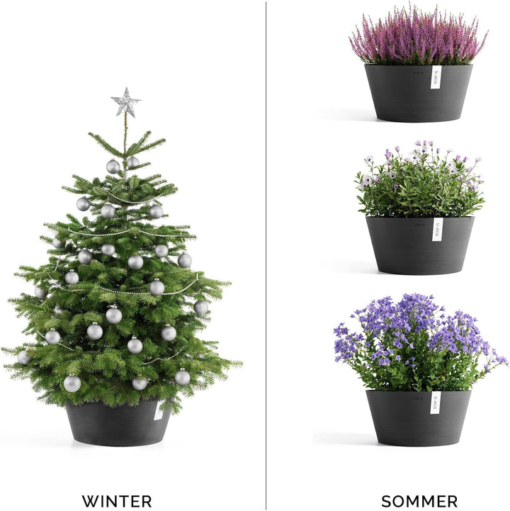 Ecopots Christbaumständer mit Wasserspeicher für Bäume bis 3,00 m Baumhöhe umkippsicher - Tannenbaum