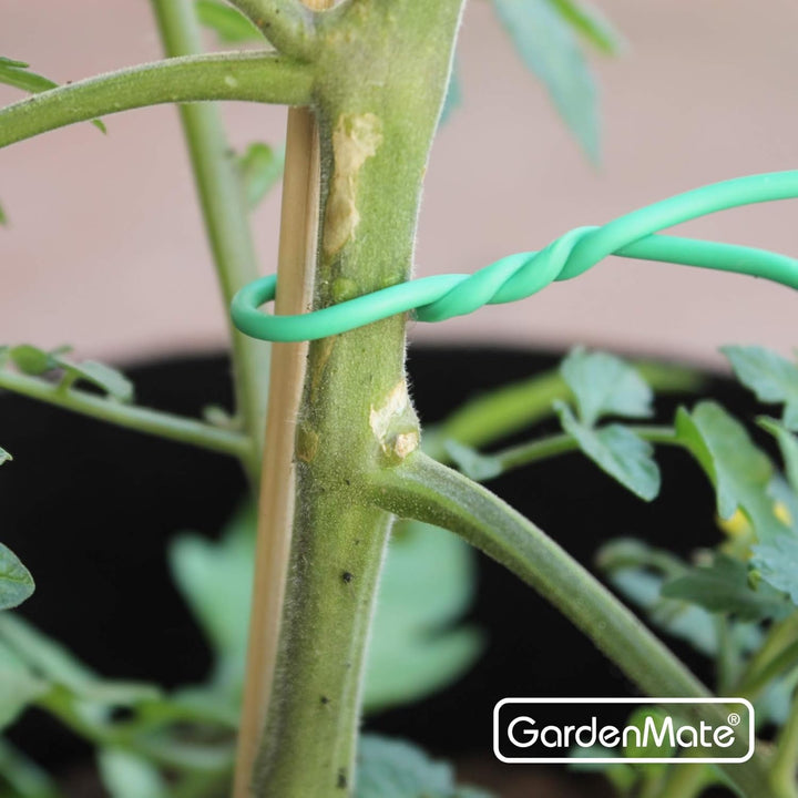 GardenMate 12x Gartendraht 2,5 mm x 10 m mit Gummi ummantelt gummiert geschäumt 12 Stück, 12 Stü