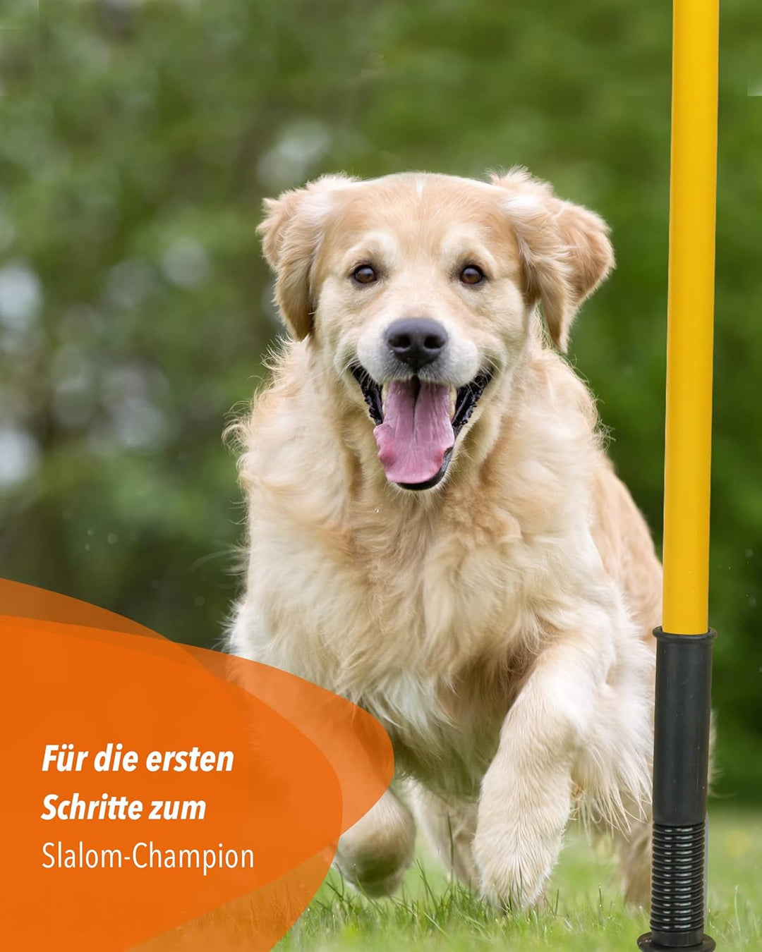 Kombi-Hülse aus Kunststoff mit Kippgelenk & Slalomstange 180 cm – 4er Set – Stange für Slalom & Koor