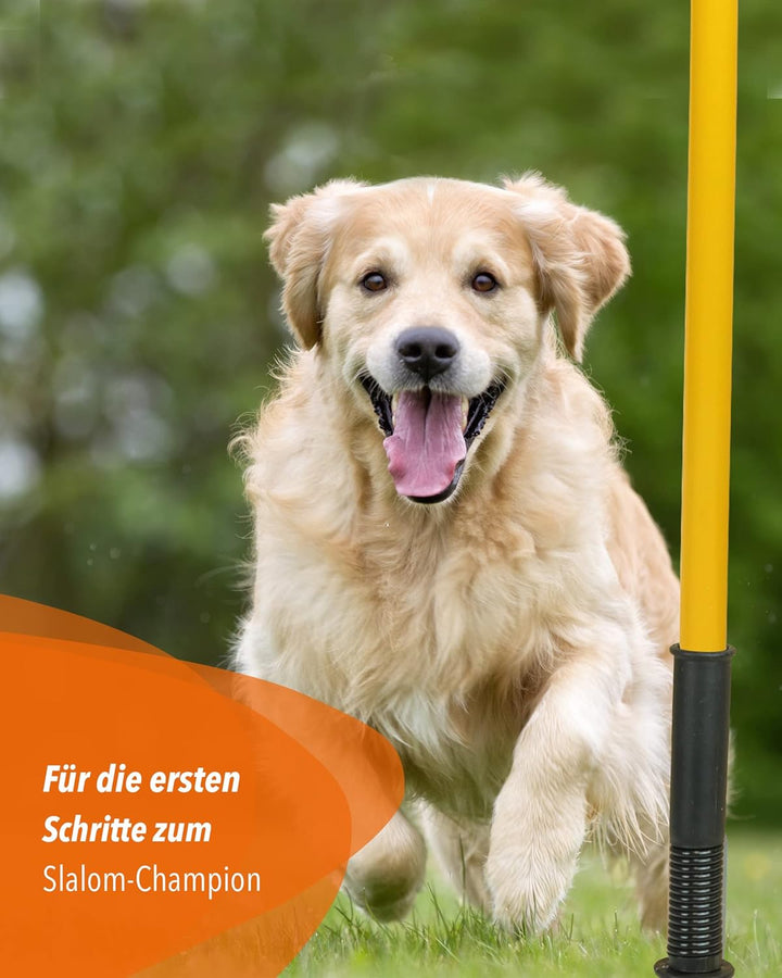 Kombi-Hülse aus Kunststoff mit Kippgelenk & Slalomstange 180 cm – 4er Set – Stange für Slalom & Koor
