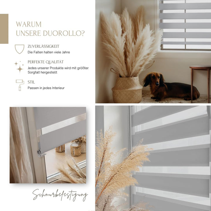 Home-Vision® DuoRollo Klemmfix, Doppelrollo ohne Bohren mit Klämmträgern, Rollos für Fenster und Tür