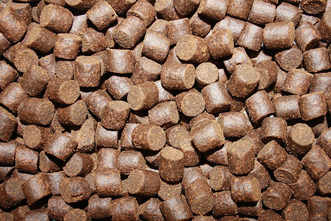 Störfutter extragross 10mm Energiefutter für Störe, Störsinkfutter deutsche Top Qualität, Tomodachi