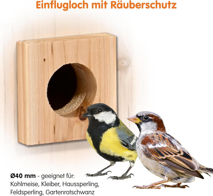Luxus-VOGELHAUS Nistkasten Eazy mit WiFi Kamera und Solar Panel - Vogelbeobachtung mit Nisthilfe aus