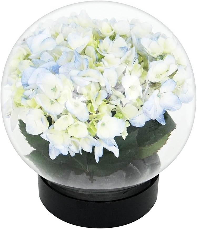 Achla Designs Blumenaquarium FLAQ-01 - Transparent 16,1925x16,1925x18,415 cm, 16,1925x16,1925x18,415