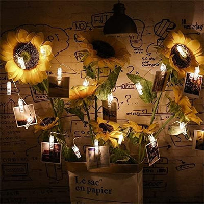 CozyHome Foto Lichterkette Fotoclips - 30 LED mit Klammern & 5m Timer Batterie I Fotolichterketten F