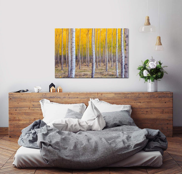 bestforhome 90x60cm Leinwandbild Birkenwald im Herbst mit gelben Blättern Leinwand auf Holzrahmen 60