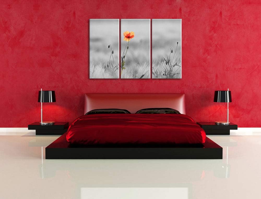 Rote Mohnblume im Feld schwarz/weiss 3-Teiler Leinwandbild 120x80 Bild auf Leinwand, XXL riesige Bil